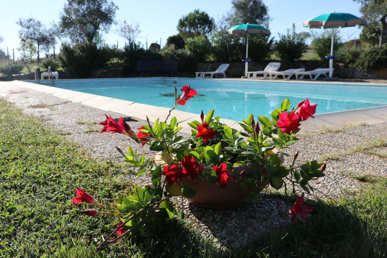 Agriturismo Tinti Montiano  Luaran gambar