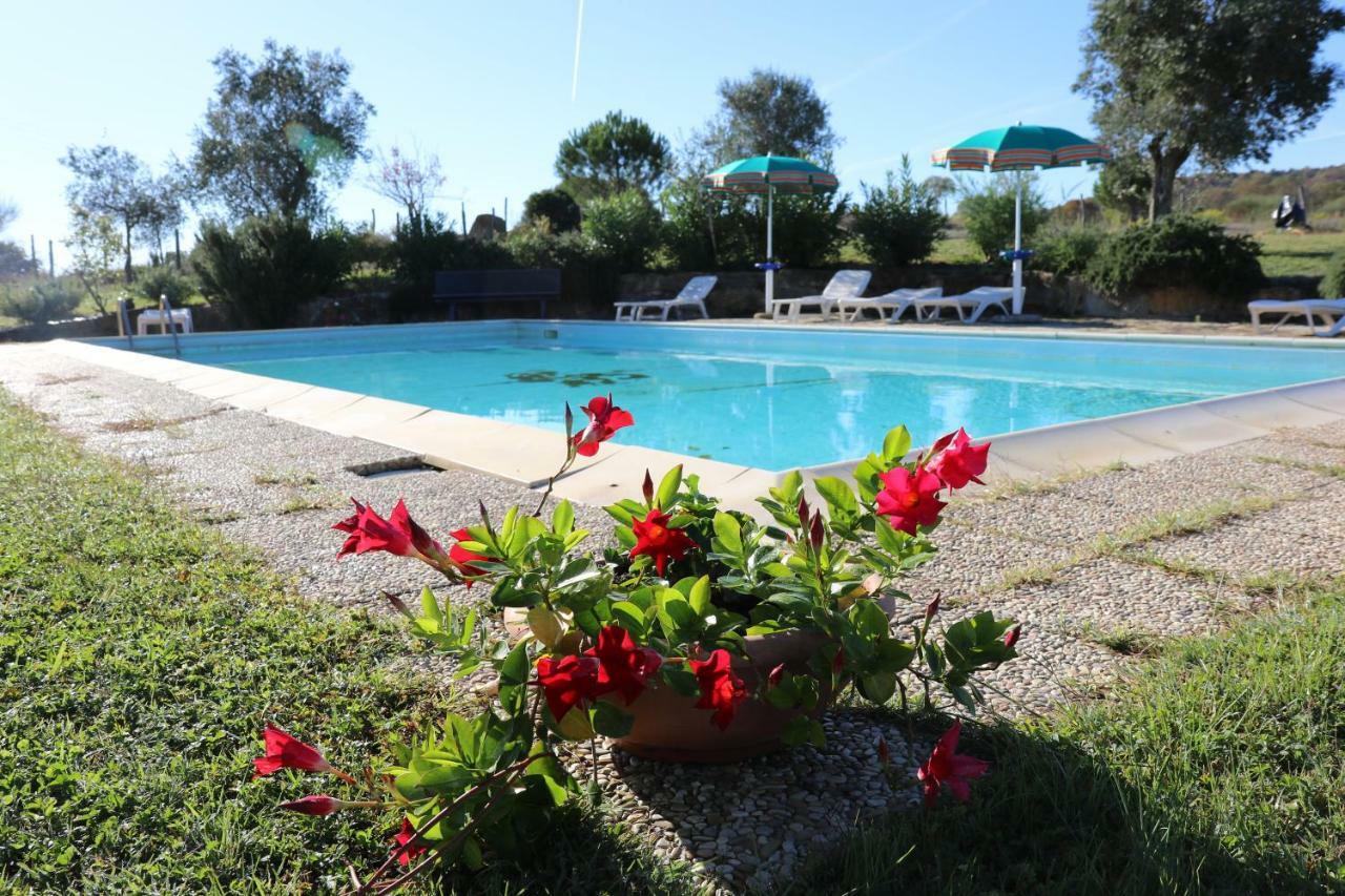 Agriturismo Tinti Montiano  Luaran gambar